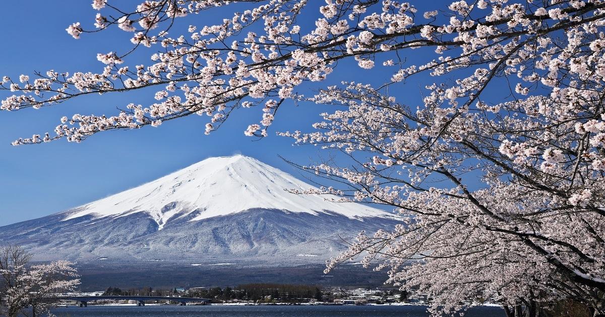 イメージ画像:富士山と桜